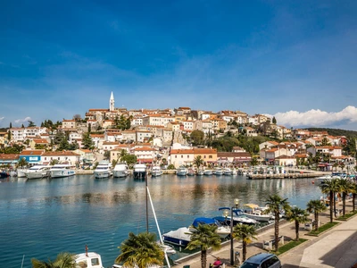 ©zm_photo.stock.adobe.com