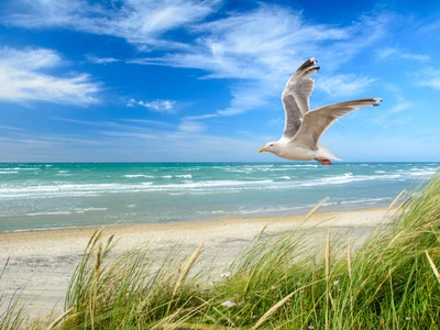 ©mp1982_06- stock.adobe.com