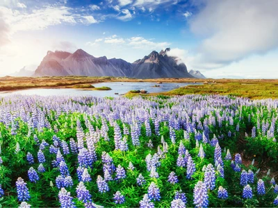 ©standret.stock.adobe.com