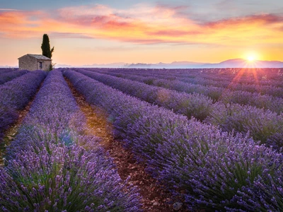 ©ronnybas.stock.adobe.com