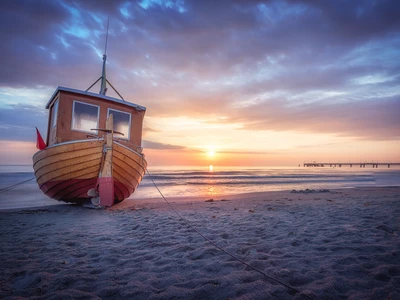 ©Leinemeister.stock.adobe.com