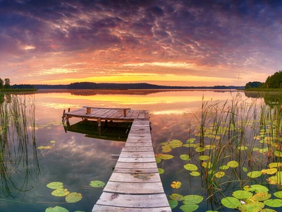 ©Piotr Krzeslak.stock.adobe.com