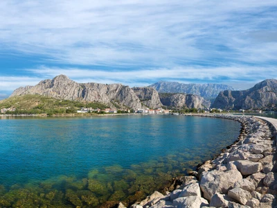 ©Yuriy Kobets.stock.adobe.com