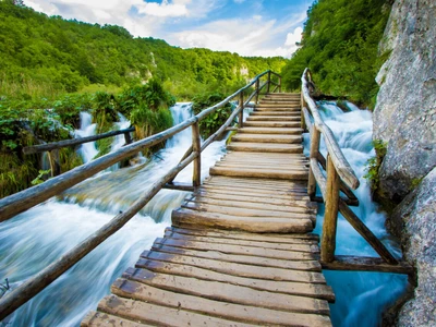 ©Alexandre ROSA.stock.adobe.com