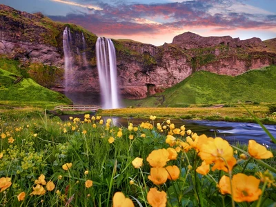 ©zicksvift.stock.adobe.com