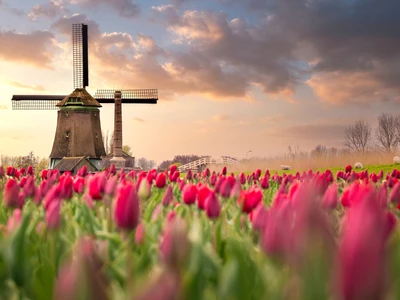 ©stefanotermanini.stock.adobe.com