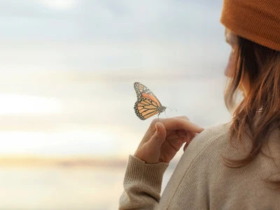 ©Cristina Conti.stock.adobe.com