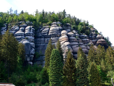 ©Horst Bingemer.stock.adobe.com