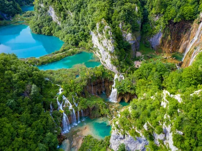 ©Goran.stock.adobe.com