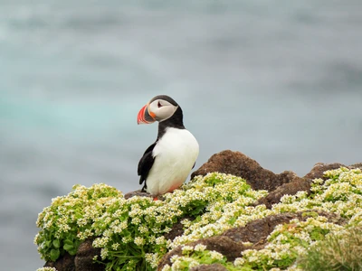 ©imagoDens.stock.adobe.com