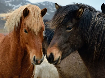 ©Anatoli.stock.adobe.com