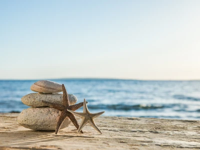 ©Maria.stock.adobe.com