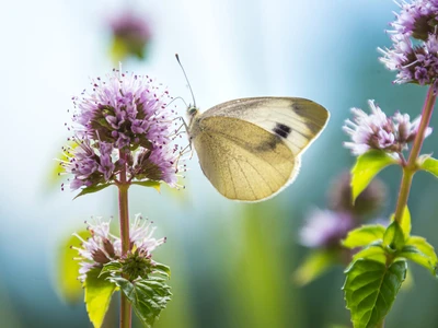 ©lotusblüte17.stock.adobe.com