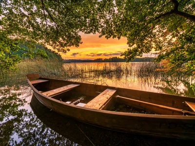 ©Piotr Krzeslak.stock.adobe.com