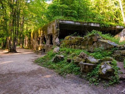 ©Dariusz.stock.adobe.com