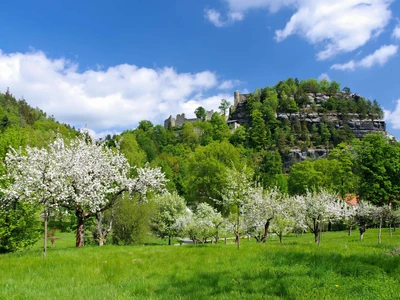 ©LianeM.stock.adobe.com