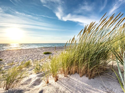 ©haiderose.stock.adobe.com