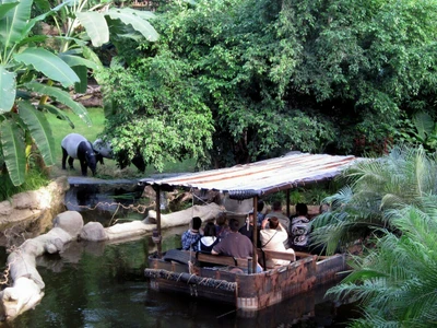 Tapire_im_Gehege__c__Zoo_Leipzig © Zoo Leipzig GmbH