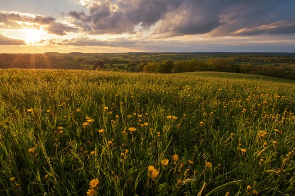 Holsteinische Schweiz - Von der Marzipanstadt zur Plöner Seenplatte
