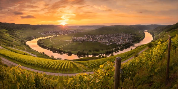 Moselromantik pur– Wein, Wasser & wunderbare Orte